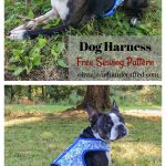 Dog Harness Free Sewing Pattern