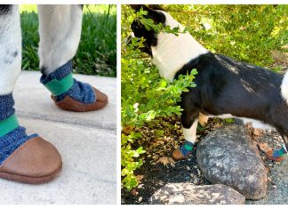 Dog Shoes Free Sewing Pattern