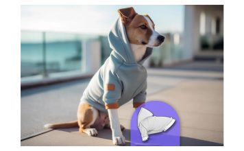 Dog Hoodie Sewing Pattern